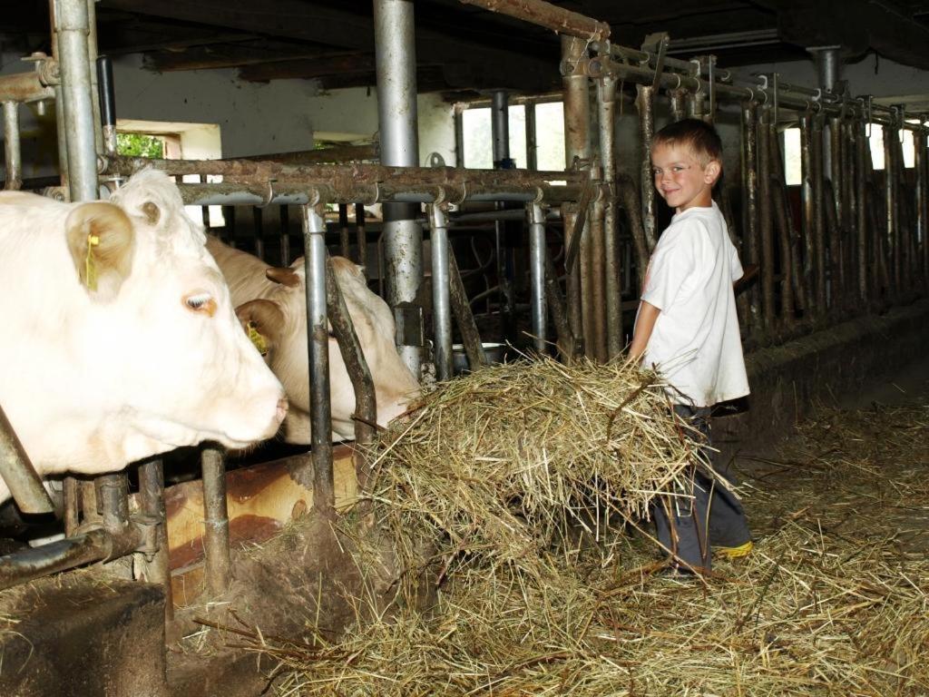 Ferienwohnung Am Oberrainerhof Arriach 外观 照片