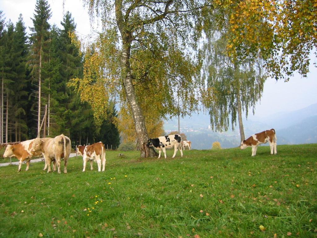 Ferienwohnung Am Oberrainerhof Arriach 外观 照片