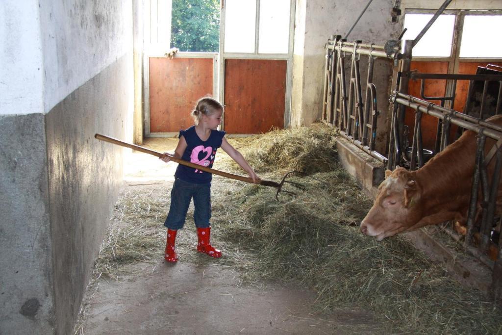 Ferienwohnung Am Oberrainerhof Arriach 外观 照片